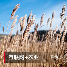 ca88手机客户端(安卓/苹果)CA88会员登录入口